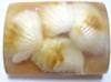 Seashells Glycerin Soap