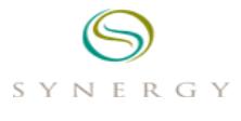 Synergy Hair